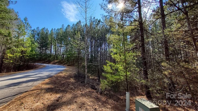 0 Sunset Dr Unit 20, Mill Spring, NC 28756 - photo 13