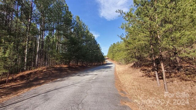 0 Sunset Dr Unit 20, Mill Spring, NC 28756 - photo 14