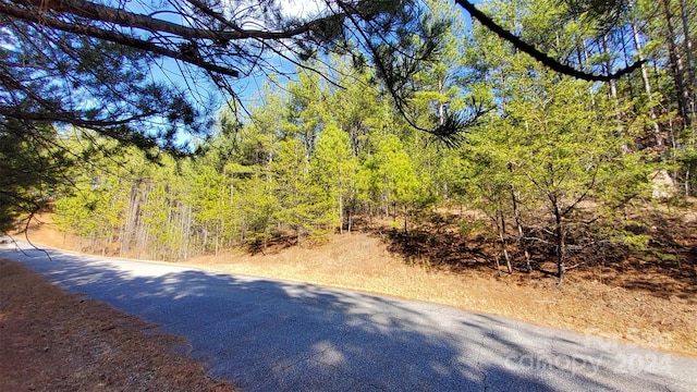 0 Sunset Dr Unit 20, Mill Spring, NC 28756 - photo 16