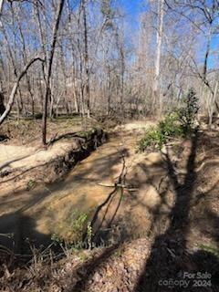 0 Sunset Dr Unit 20, Mill Spring, NC 28756 - photo 18
