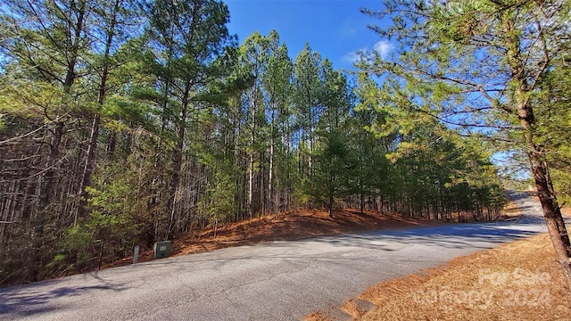 0 Sunset Dr Unit 20, Mill Spring, NC 28756 - photo 20