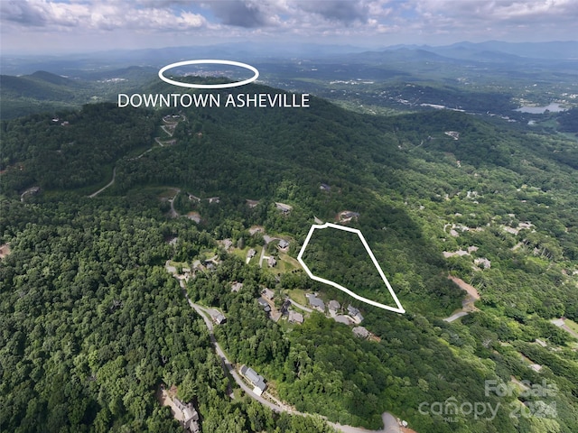 72WoodlandAsterWay,97 Longspur Lane 70 & 71, Asheville NC, 28804 land for sale