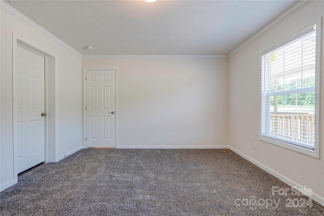 spare room with carpet and crown molding