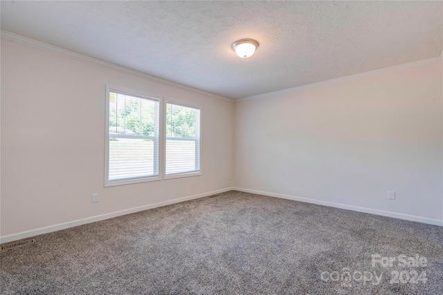 empty room with a textured ceiling, carpet, and crown molding