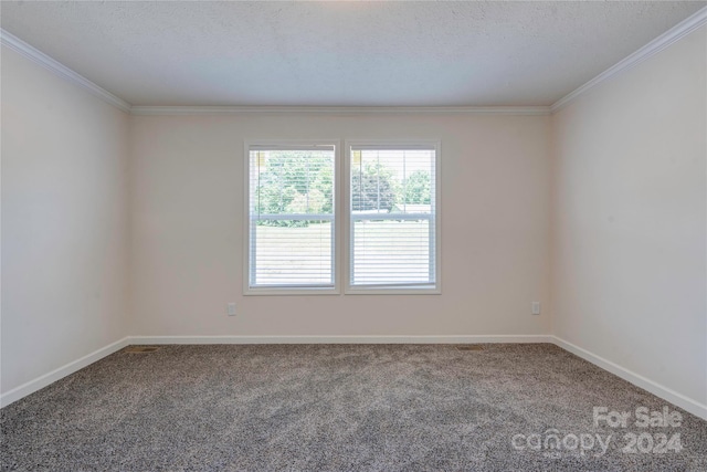 carpeted spare room featuring ornamental molding and a textured ceiling