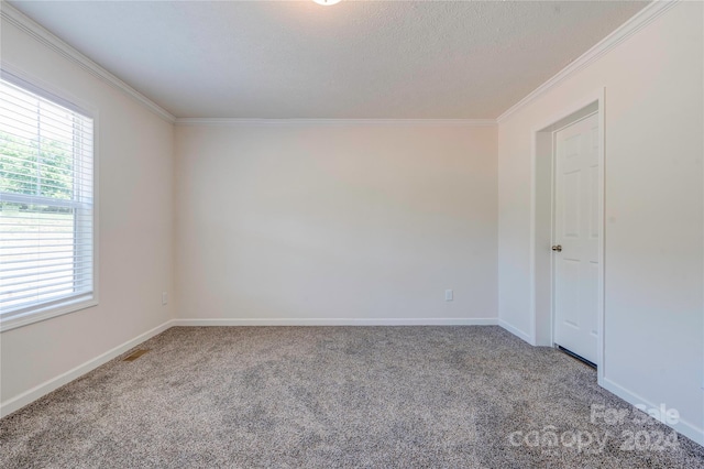 empty room featuring carpet floors and crown molding