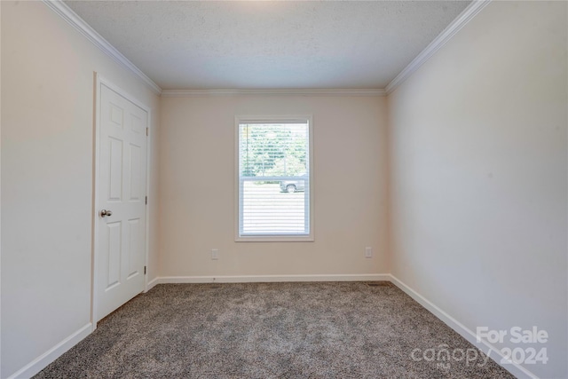 carpeted spare room with a textured ceiling and ornamental molding