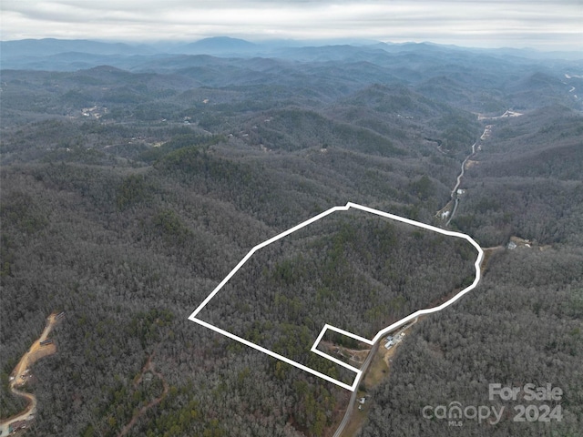 0 Frozen Creek Rd, Brevard NC, 28712 land for sale