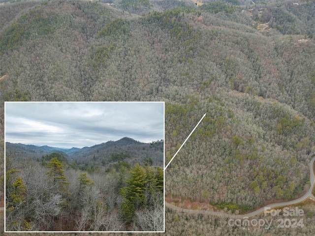 Listing photo 2 for 0 Frozen Creek Rd, Brevard NC 28712