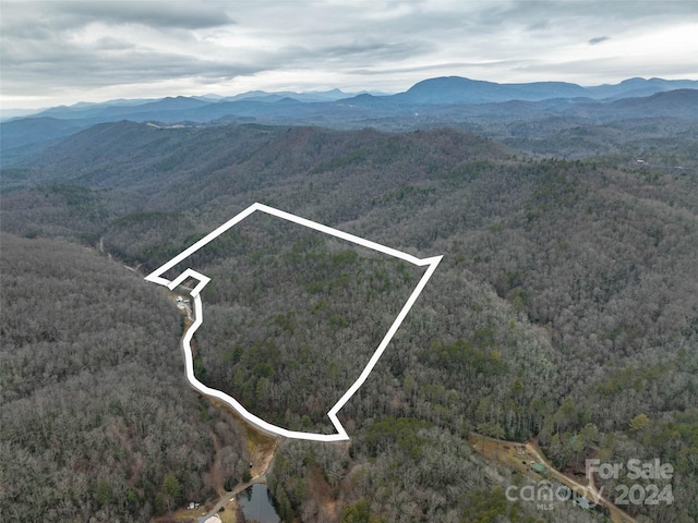 Listing photo 3 for 0 Frozen Creek Rd, Brevard NC 28712