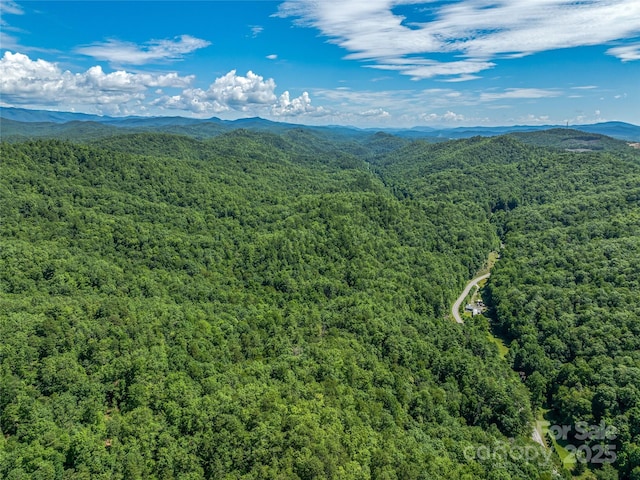 0 Frozen Creek Rd, Brevard, NC 28712 - photo 1