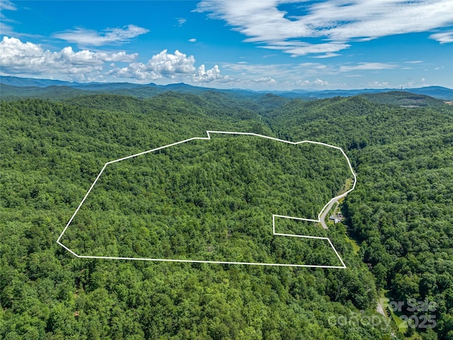0 Frozen Creek Rd, Brevard, NC 28712 - photo 3