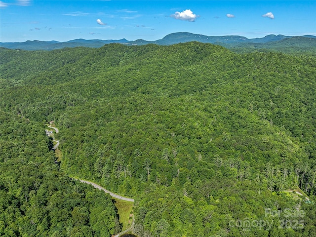 0 Frozen Creek Rd, Brevard, NC 28712 - photo 4