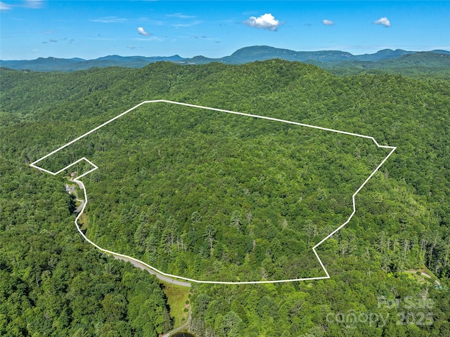 0 Frozen Creek Rd, Brevard, NC 28712 - photo 5