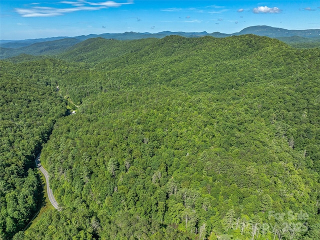0 Frozen Creek Rd, Brevard, NC 28712 - photo 9