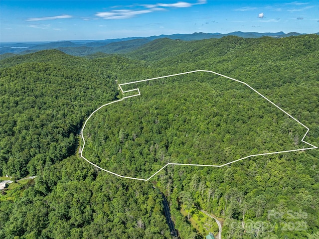 0 Frozen Creek Rd, Brevard, NC 28712 - photo 10