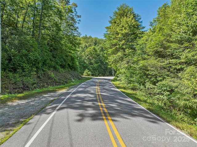 0 Frozen Creek Rd, Brevard, NC 28712 - photo 6