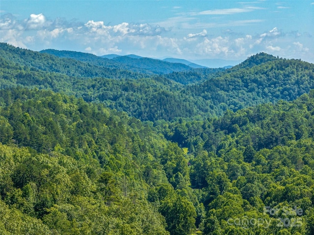 0 Frozen Creek Rd, Brevard, NC 28712 - photo 11