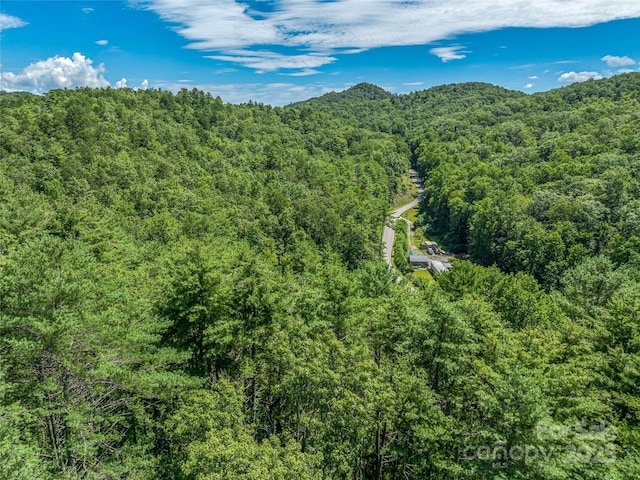 0 Frozen Creek Rd, Brevard, NC 28712 - photo 7