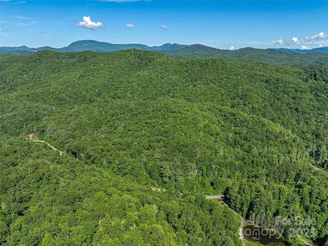 0 Frozen Creek Rd, Brevard, NC 28712 - photo 12