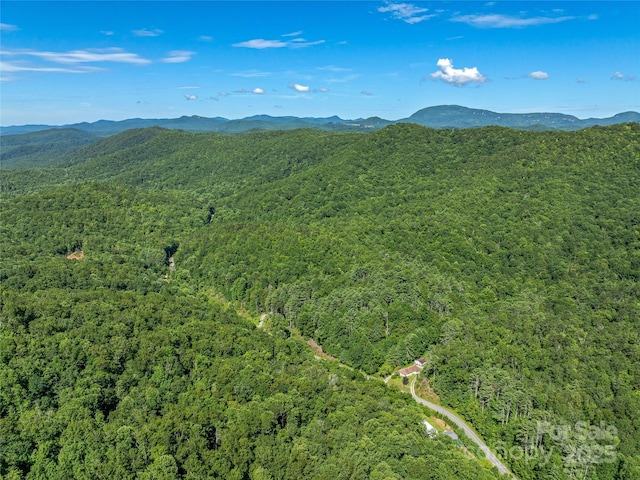 0 Frozen Creek Rd, Brevard, NC 28712 - photo 13