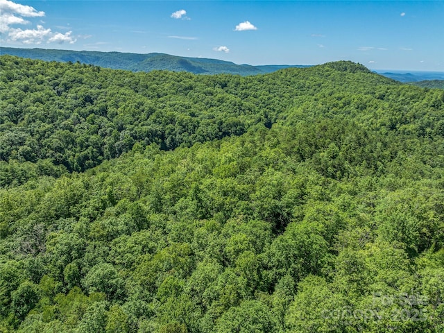 0 Frozen Creek Rd, Brevard, NC 28712 - photo 15