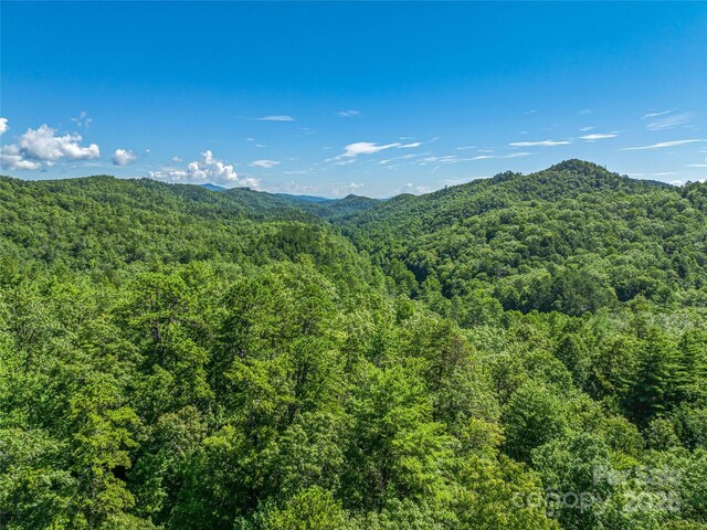 0 Frozen Creek Rd, Brevard, NC 28712 - photo 16