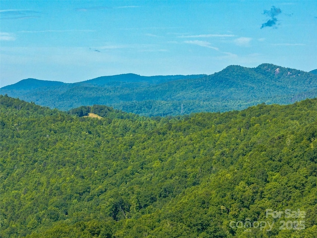 0 Frozen Creek Rd, Brevard, NC 28712 - photo 17
