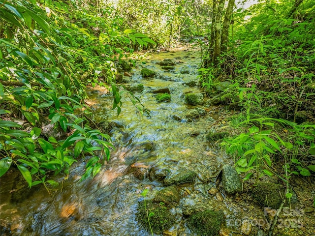0 Frozen Creek Rd, Brevard, NC 28712 - photo 14