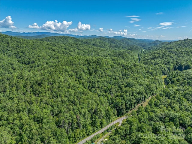 0 Frozen Creek Rd, Brevard, NC 28712 - photo 8