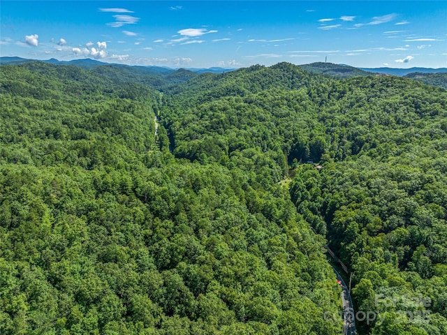0 Frozen Creek Rd, Brevard, NC 28712 - photo 18