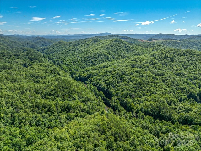 0 Frozen Creek Rd, Brevard, NC 28712 - photo 19