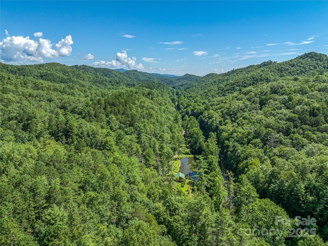 0 Frozen Creek Rd, Brevard, NC 28712 - photo 20