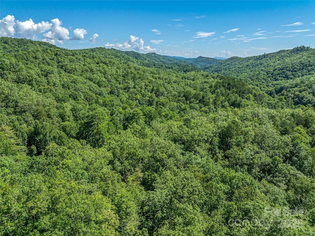 0 Frozen Creek Rd, Brevard, NC 28712 - photo 21