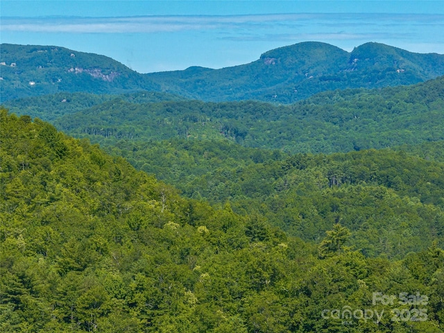 0 Frozen Creek Rd, Brevard, NC 28712 - photo 22