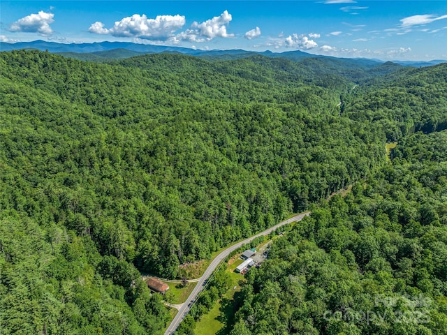 0 Frozen Creek Rd, Brevard, NC 28712 - photo 23