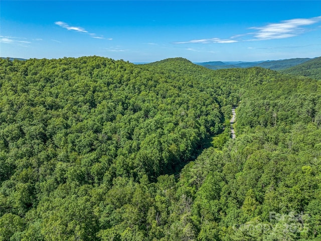 0 Frozen Creek Rd, Brevard, NC 28712 - photo 25