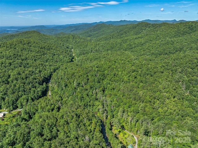0 Frozen Creek Rd, Brevard, NC 28712 - photo 26