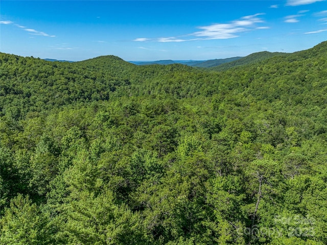0 Frozen Creek Rd, Brevard, NC 28712 - photo 27