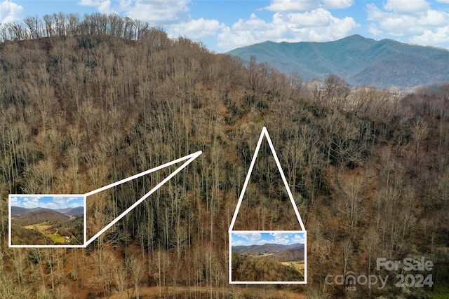 Lot18WaywardCoveRoad, Wayward Cove, Clyde NC, 28721 land for sale