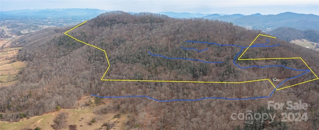 birds eye view of property with a mountain view