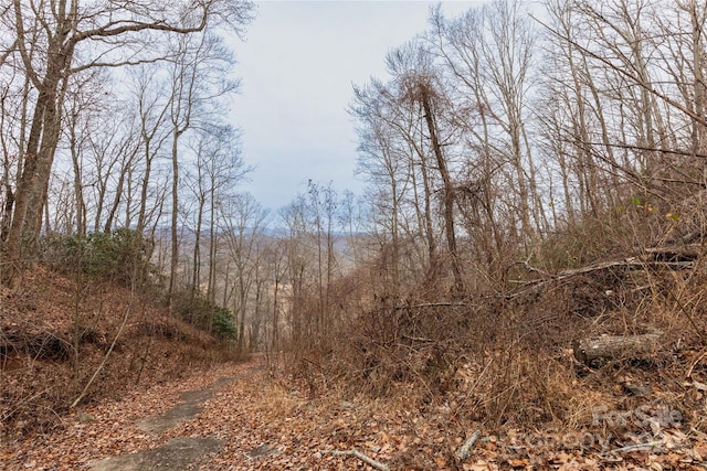 view of local wilderness