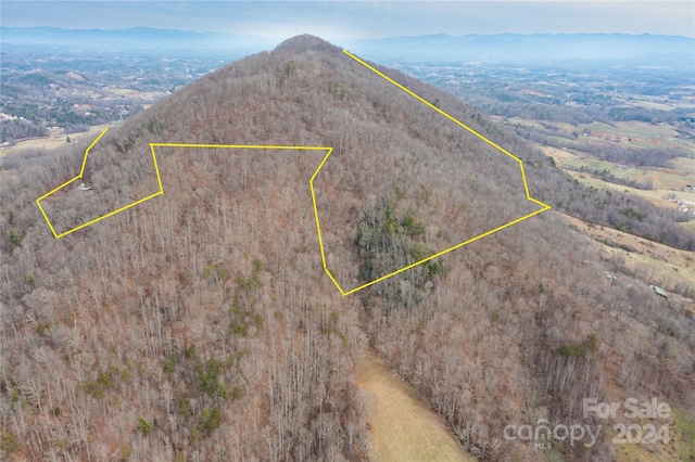 aerial view featuring a mountain view