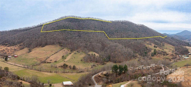 bird's eye view with a mountain view and a rural view