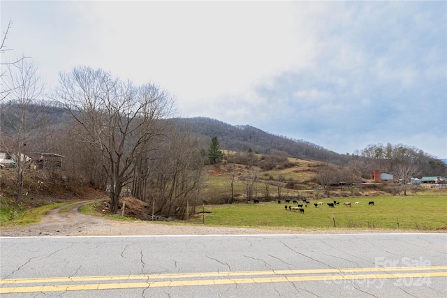 298 S Turkey Creek Rd, Leicester, NC 28748 - photo 4