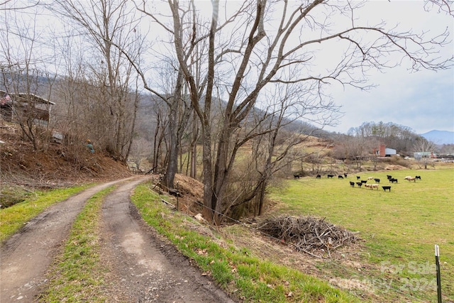 298 S Turkey Creek Rd, Leicester, NC 28748 - photo 5