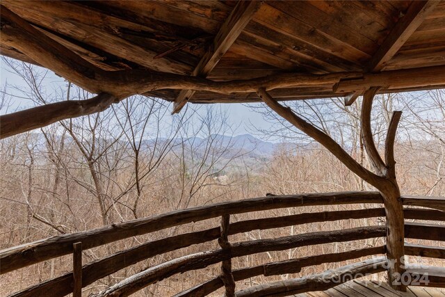 298 S Turkey Creek Rd, Leicester, NC 28748 - photo 12