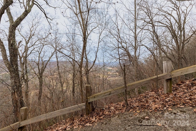 298 S Turkey Creek Rd, Leicester, NC 28748 - photo 18