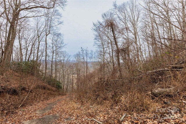 298 S Turkey Creek Rd, Leicester, NC 28748 - photo 19