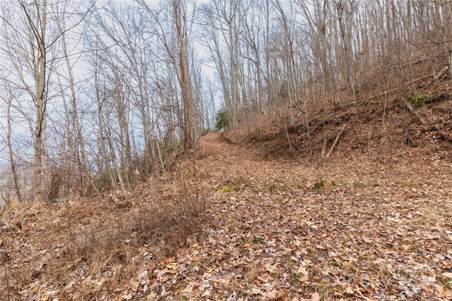 298 S Turkey Creek Rd, Leicester, NC 28748 - photo 20